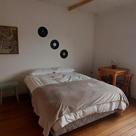 Casa Kila Hostel Valdivia Esterno foto